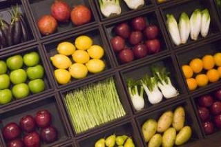 SANIDAD PRESENTA UNA BASE DE DATOS DE ACCESO PÚBLICO PARA CONOCER LA COMPOSICIÓN DE LOS ALIMENTOS
