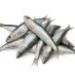 20130425180056-sardinas-sq