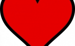 El colesterol y las enfermedades cardiovasculares