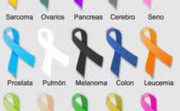 Cáncer y alimentación