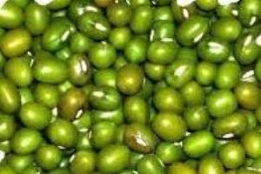 La Soja en la Menopausia